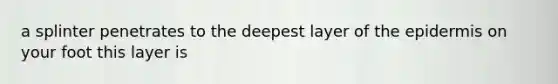 a splinter penetrates to the deepest layer of the epidermis on your foot this layer is