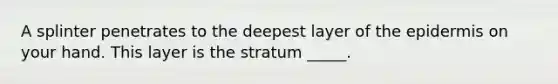 A splinter penetrates to the deepest layer of the epidermis on your hand. This layer is the stratum _____.