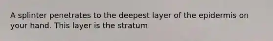 A splinter penetrates to the deepest layer of the epidermis on your hand. This layer is the stratum