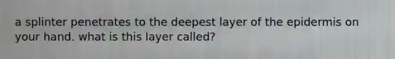a splinter penetrates to the deepest layer of the epidermis on your hand. what is this layer called?