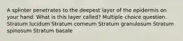 A splinter penetrates to the deepest layer of the epidermis on your hand. What is this layer called? Multiple choice question. Stratum lucidum Stratum corneum Stratum granulosum Stratum spinosum Stratum basale