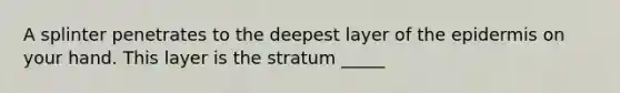 A splinter penetrates to the deepest layer of the epidermis on your hand. This layer is the stratum _____