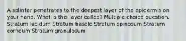 A splinter penetrates to the deepest layer of the epidermis on your hand. What is this layer called? Multiple choice question. Stratum lucidum Stratum basale Stratum spinosum Stratum corneum Stratum granulosum