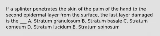 If a splinter penetrates the skin of the palm of the hand to the second epidermal layer from the surface, the last layer damaged is the ___ A. Stratum granulosum B. Stratum basale C. Stratum corneum D. Stratum lucidum E. Stratum spinosum