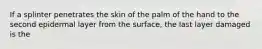 If a splinter penetrates the skin of the palm of the hand to the second epidermal layer from the surface, the last layer damaged is the