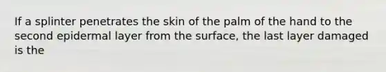 If a splinter penetrates the skin of the palm of the hand to the second epidermal layer from the surface, the last layer damaged is the