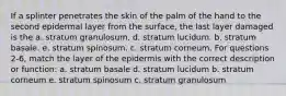 If a splinter penetrates the skin of the palm of the hand to the second epidermal layer from the surface, the last layer damaged is the a. stratum granulosum. d. stratum lucidum. b. stratum basale. e. stratum spinosum. c. stratum corneum. For questions 2-6, match the layer of the epidermis with the correct description or function: a. stratum basale d. stratum lucidum b. stratum corneum e. stratum spinosum c. stratum granulosum