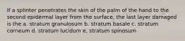 If a splinter penetrates the skin of the palm of the hand to the second epidermal layer from the surface, the last layer damaged is the a. stratum granulosum b. stratum basale c. stratum corneum d. stratum lucidum e. stratum spinosum