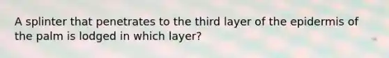 A splinter that penetrates to the third layer of the epidermis of the palm is lodged in which layer?