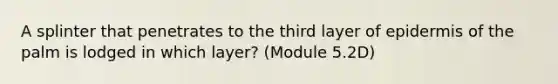 A splinter that penetrates to the third layer of epidermis of the palm is lodged in which layer? (Module 5.2D)