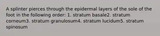 A splinter pierces through the epidermal layers of the sole of the foot in the following order: 1. stratum basale2. stratum corneum3. stratum granulosum4. stratum lucidum5. stratum spinosum