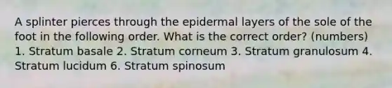 A splinter pierces through the epidermal layers of the sole of the foot in the following order. What is the correct order? (numbers) 1. Stratum basale 2. Stratum corneum 3. Stratum granulosum 4. Stratum lucidum 6. Stratum spinosum