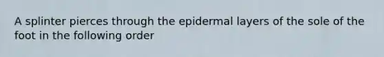 A splinter pierces through the epidermal layers of the sole of the foot in the following order