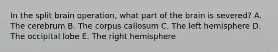 In the split brain operation, what part of <a href='https://www.questionai.com/knowledge/kLMtJeqKp6-the-brain' class='anchor-knowledge'>the brain</a> is severed? A. The cerebrum B. The corpus callosum C. The left hemisphere D. The occipital lobe E. The right hemisphere