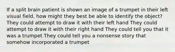 If a split brain patient is shown an image of a trumpet in their left visual field, how might they best be able to identify the object? They could attempt to draw it with their left hand They could attempt to draw it with their right hand They could tell you that it was a trumpet They could tell you a nonsense story that somehow incorporated a trumpet