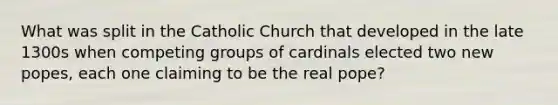 What was split in the Catholic Church that developed in the late 1300s when competing groups of cardinals elected two new popes, each one claiming to be the real pope?