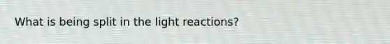 What is being split in the light reactions?