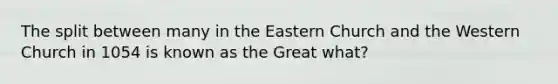 The split between many in the Eastern Church and the Western Church in 1054 is known as the Great what?