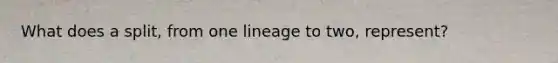 What does a split, from one lineage to two, represent?