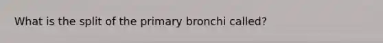 What is the split of the primary bronchi called?