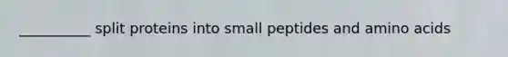 __________ split proteins into small peptides and amino acids