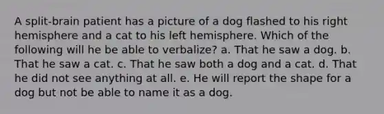 A split-brain patient has a picture of a dog flashed to his right hemisphere and a cat to his left hemisphere. Which of the following will he be able to verbalize? a. That he saw a dog. b. That he saw a cat. c. That he saw both a dog and a cat. d. That he did not see anything at all. e. He will report the shape for a dog but not be able to name it as a dog.