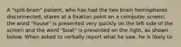 A "split-brain" patient, who has had the two brain hemispheres disconnected, stares at a fixation point on a computer screen; the word "house" is presented very quickly on the left side of the screen and the word "boat" is presented on the right, as shown below. When asked to verbally report what he saw, he is likely to