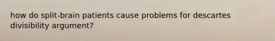 how do split-brain patients cause problems for descartes divisibility argument?