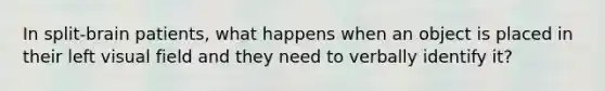 In split-brain patients, what happens when an object is placed in their left visual field and they need to verbally identify it?