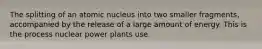 The splitting of an atomic nucleus into two smaller fragments, accompanied by the release of a large amount of energy. This is the process nuclear power plants use.