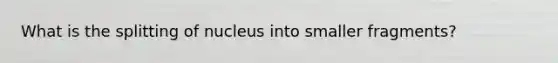 What is the splitting of nucleus into smaller fragments?