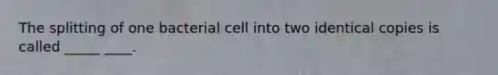 The splitting of one bacterial cell into two identical copies is called _____ ____.