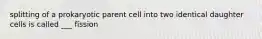 splitting of a prokaryotic parent cell into two identical daughter cells is called ___ fission