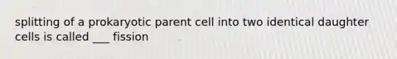 splitting of a prokaryotic parent cell into two identical daughter cells is called ___ fission