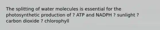 The splitting of water molecules is essential for the photosynthetic production of ? ATP and NADPH ? sunlight ? carbon dioxide ? chlorophyll