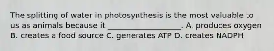 The splitting of water in photosynthesis is the most valuable to us as animals because it ___________________. A. produces oxygen B. creates a food source C. generates ATP D. creates NADPH