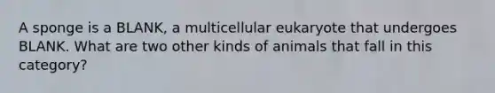 A sponge is a BLANK, a multicellular eukaryote that undergoes BLANK. What are two other kinds of animals that fall in this category?