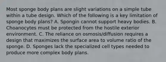 Most sponge body plans are slight variations on a simple tube within a tube design. Which of the following is a key limitation of sponge body plans? A. Spongin cannot support heavy bodies. B. Choanocytes must be protected from the hostile exterior environment. C. The reliance on osmosis/diffusion requires a design that maximizes the surface area to volume ratio of the sponge. D. Sponges lack the specialized cell types needed to produce more complex body plans.