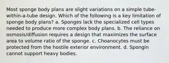 Most sponge body plans are slight variations on a simple tube-within-a-tube design. Which of the following is a key limitation of sponge body plans? a. Sponges lack the specialized cell types needed to produce more complex body plans. b. The reliance on osmosis/diffusion requires a design that maximizes the surface area to volume ratio of the sponge. c. Choanocytes must be protected from the hostile exterior environment. d. Spongin cannot support heavy bodies.