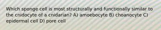 Which sponge cell is most structurally and functionally similar to the cnidocyte of a cnidarian? A) amoebocyte B) choanocyte C) epidermal cell D) pore cell