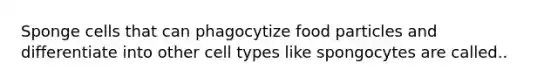 Sponge cells that can phagocytize food particles and differentiate into other cell types like spongocytes are called..