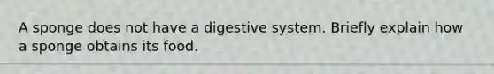 A sponge does not have a digestive system. Briefly explain how a sponge obtains its food.