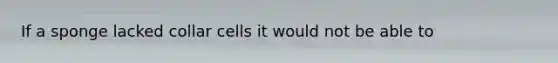 If a sponge lacked collar cells it would not be able to