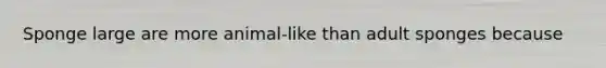 Sponge large are more animal-like than adult sponges because