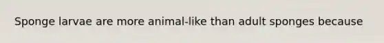 Sponge larvae are more animal-like than adult sponges because