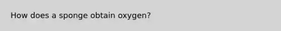 How does a sponge obtain oxygen?