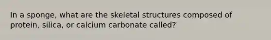 In a sponge, what are the skeletal structures composed of protein, silica, or calcium carbonate called?