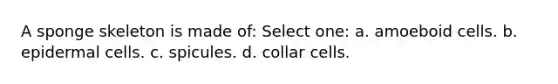 A sponge skeleton is made of: Select one: a. amoeboid cells. b. epidermal cells. c. spicules. d. collar cells.