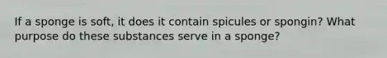 If a sponge is soft, it does it contain spicules or spongin? What purpose do these substances serve in a sponge?