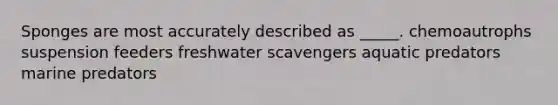 Sponges are most accurately described as _____. chemoautrophs suspension feeders freshwater scavengers aquatic predators marine predators